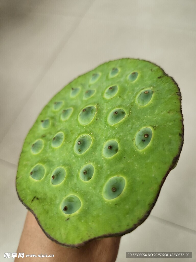 新鲜莲蓬特写