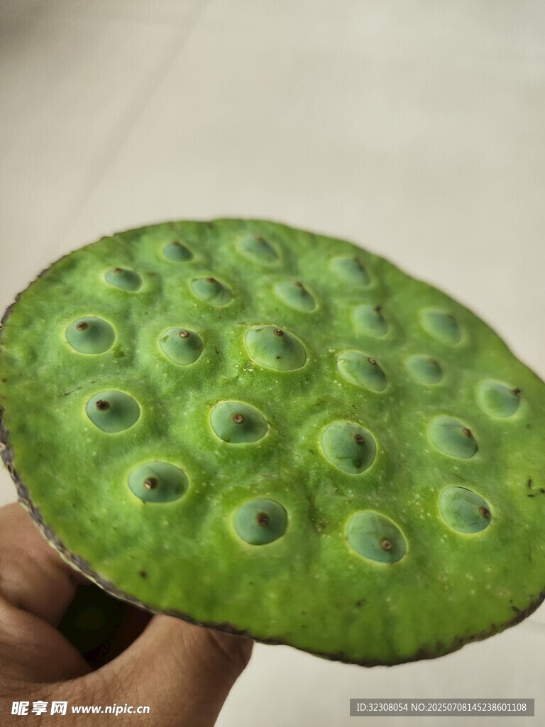 手持莲蓬特写
