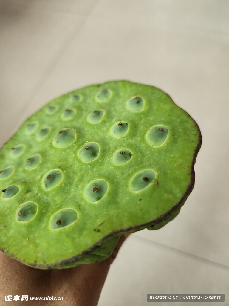 翠绿莲蓬特写