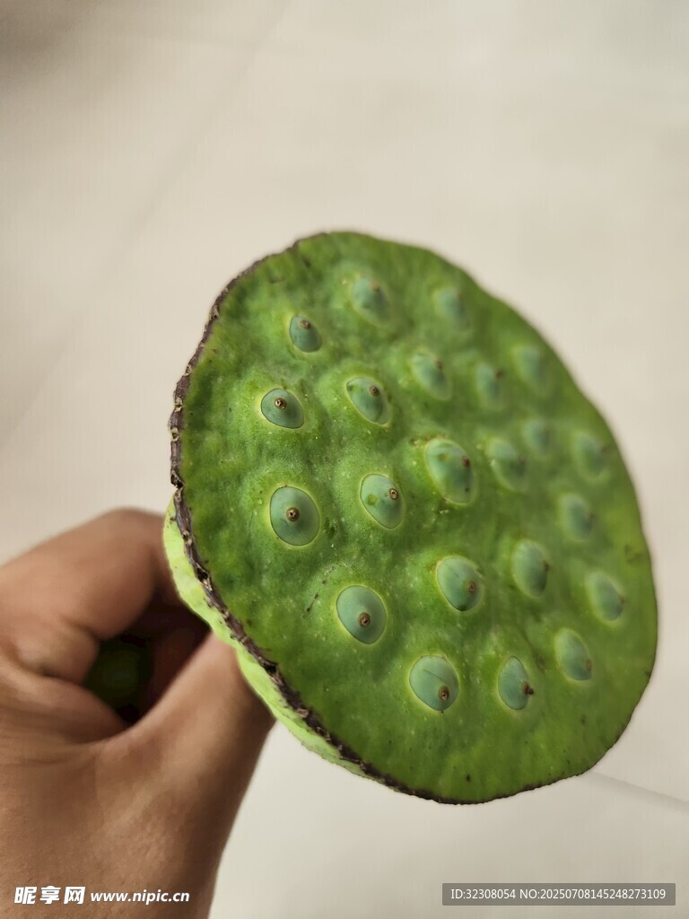 手持新鲜莲蓬