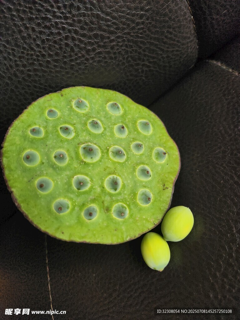 新鲜莲蓬 