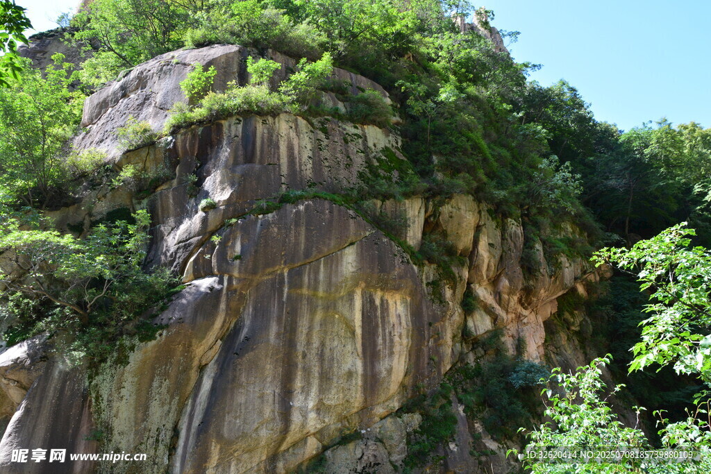 陡峭岩壁上的繁茂绿植