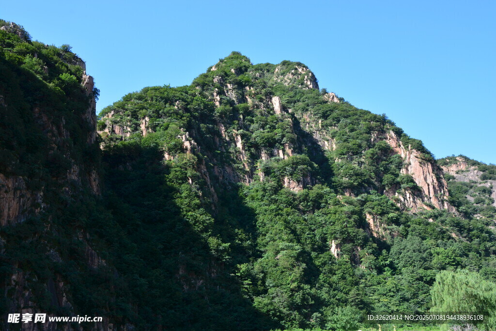 巍峨青山绿意浓