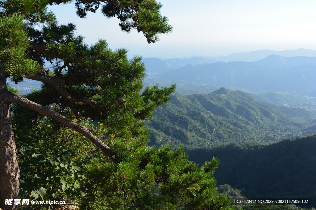 山林远眺美景