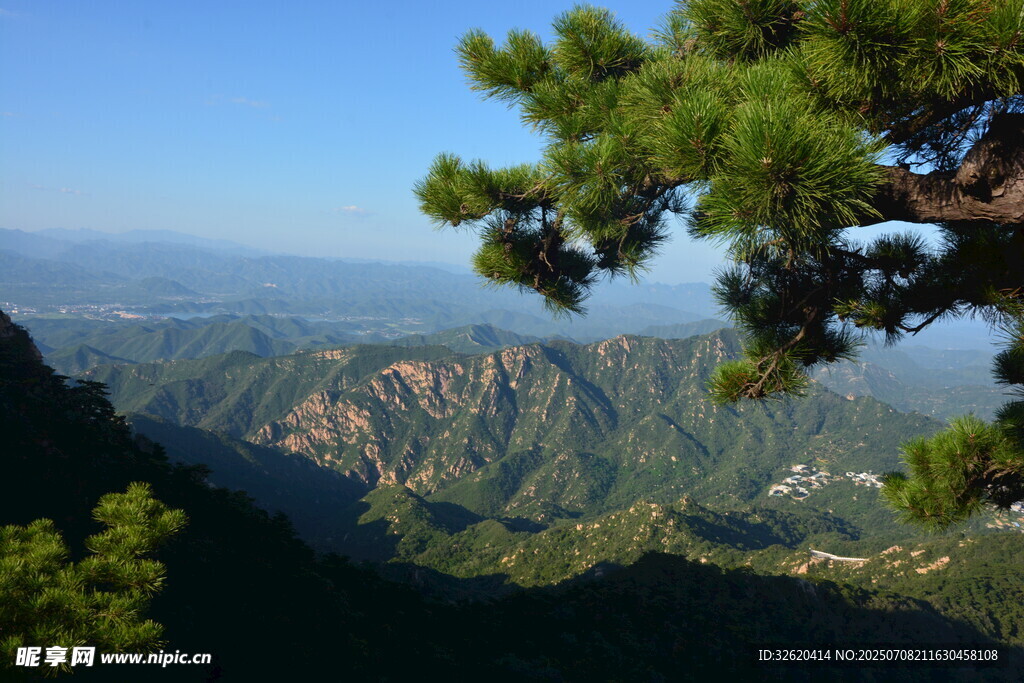 山巅松景 远眺壮阔山峦