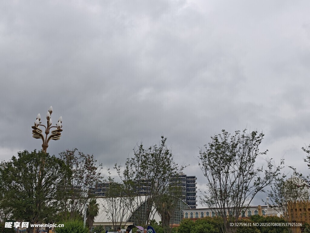阴天城市景观中的树木建筑