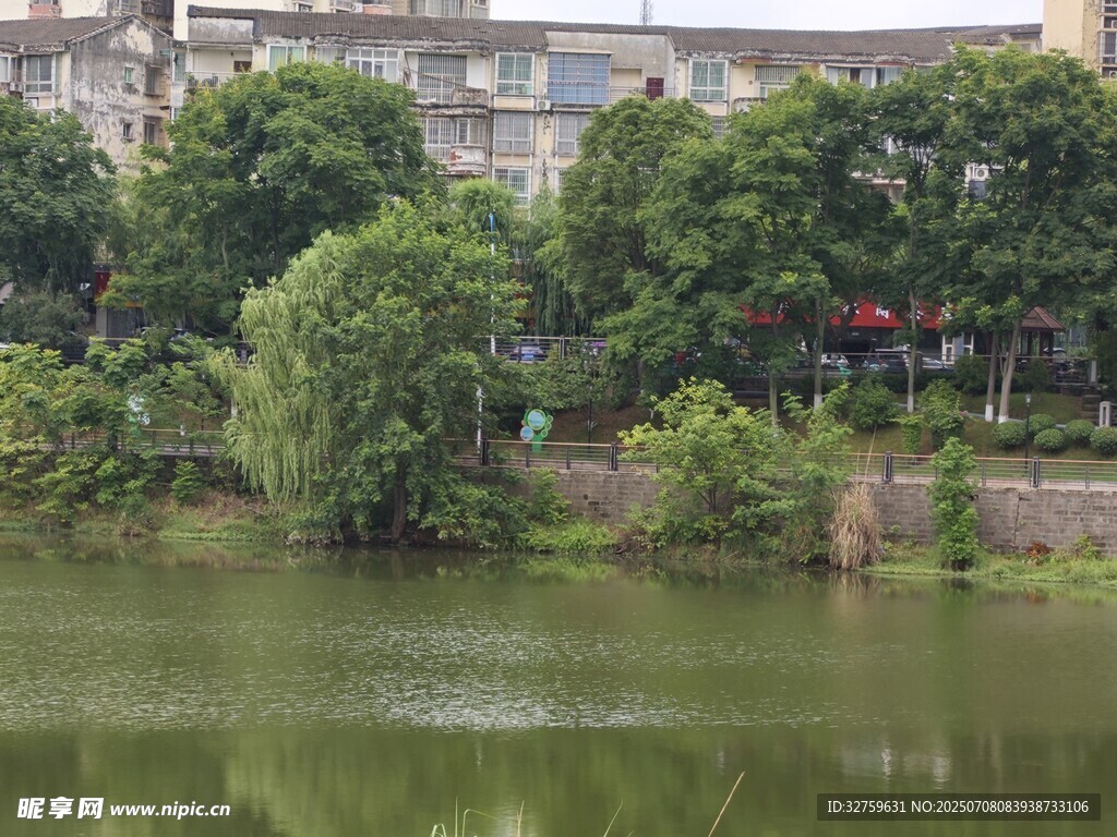 湖畔绿树环绕的城市景致