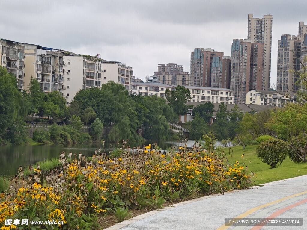 城市公园中的多彩花卉景观