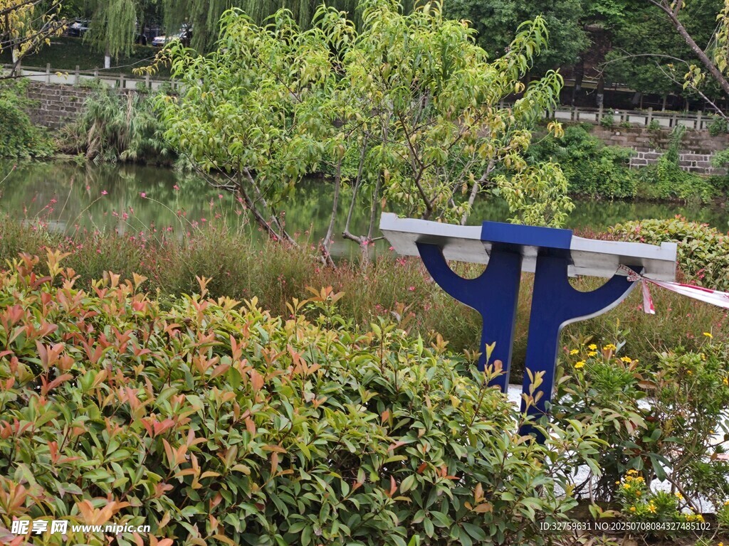 户外蓝色测量工具置于绿植间