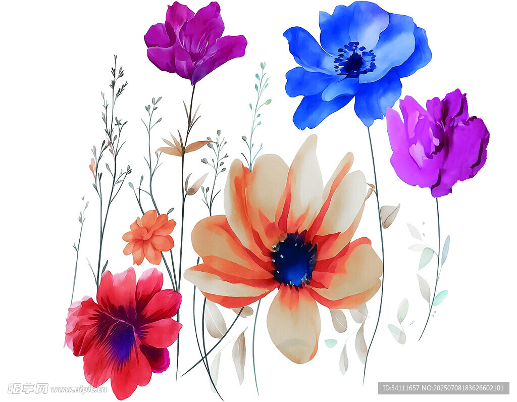 多彩花卉插画