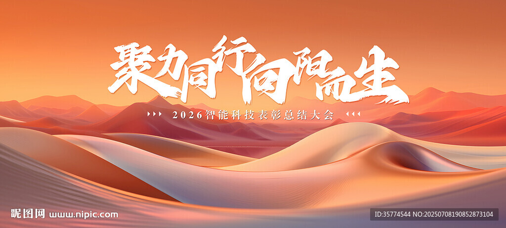 会议背景