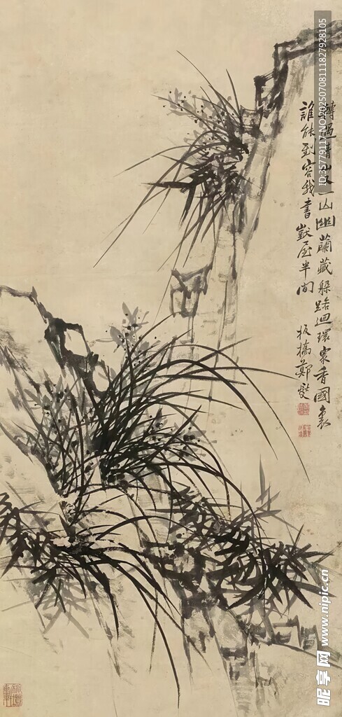 水墨兰草图