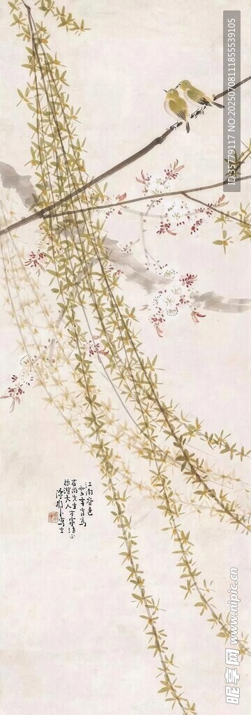 垂枝花卉