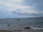 大海
