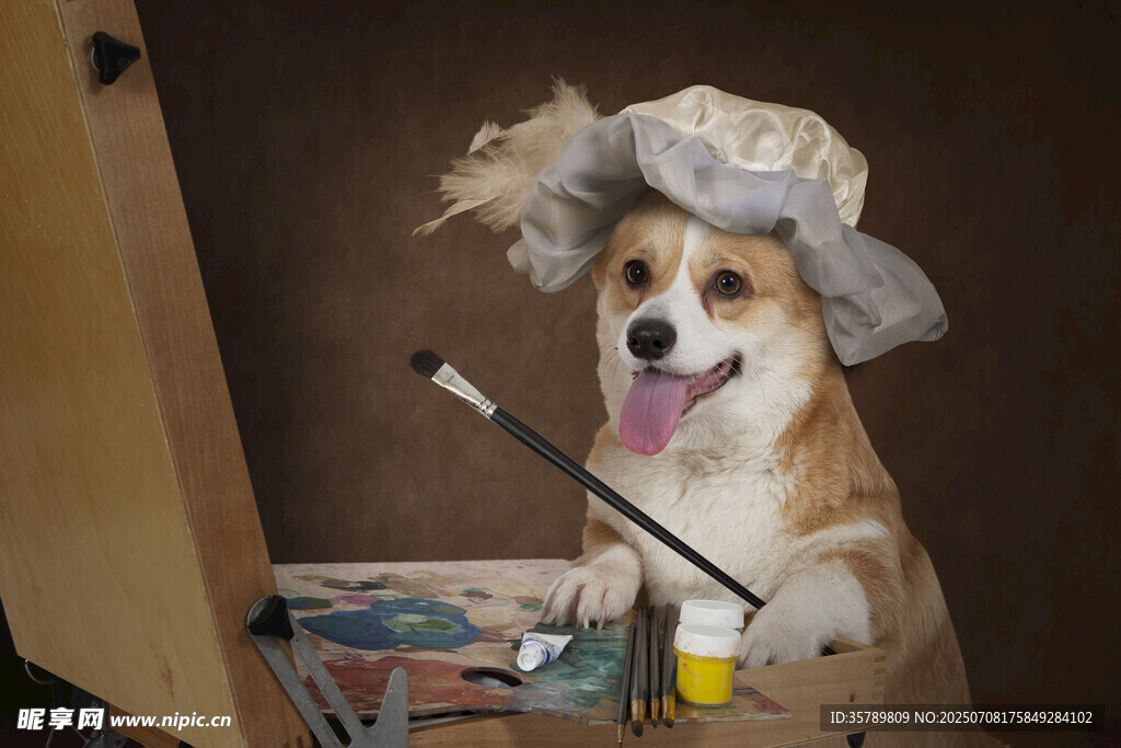 戴帽作画的可爱柯基犬