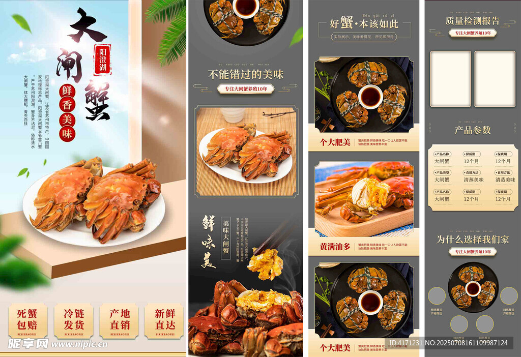 大厨家常菜美食展示
