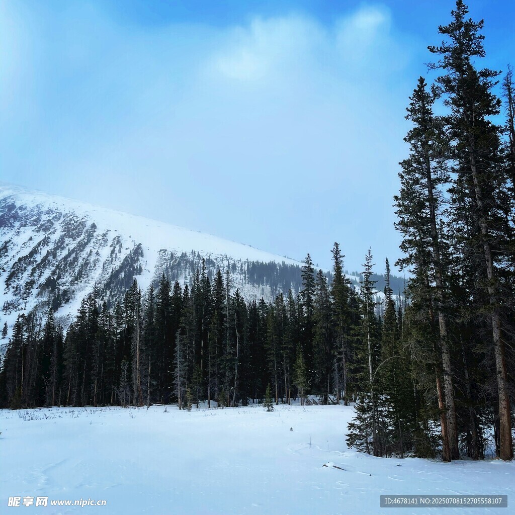 冬日雪山森林雪景风光
