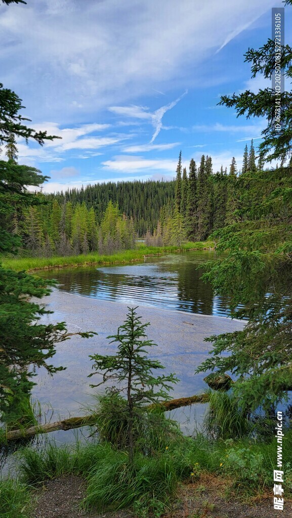 宁静湖畔森林美景