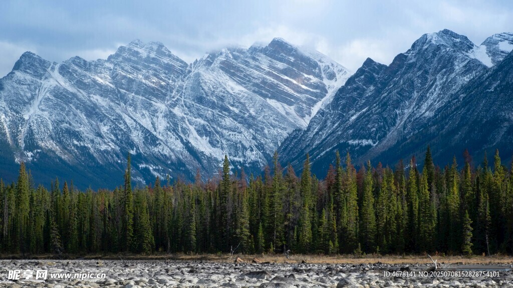 壮丽雪山下的森林景观