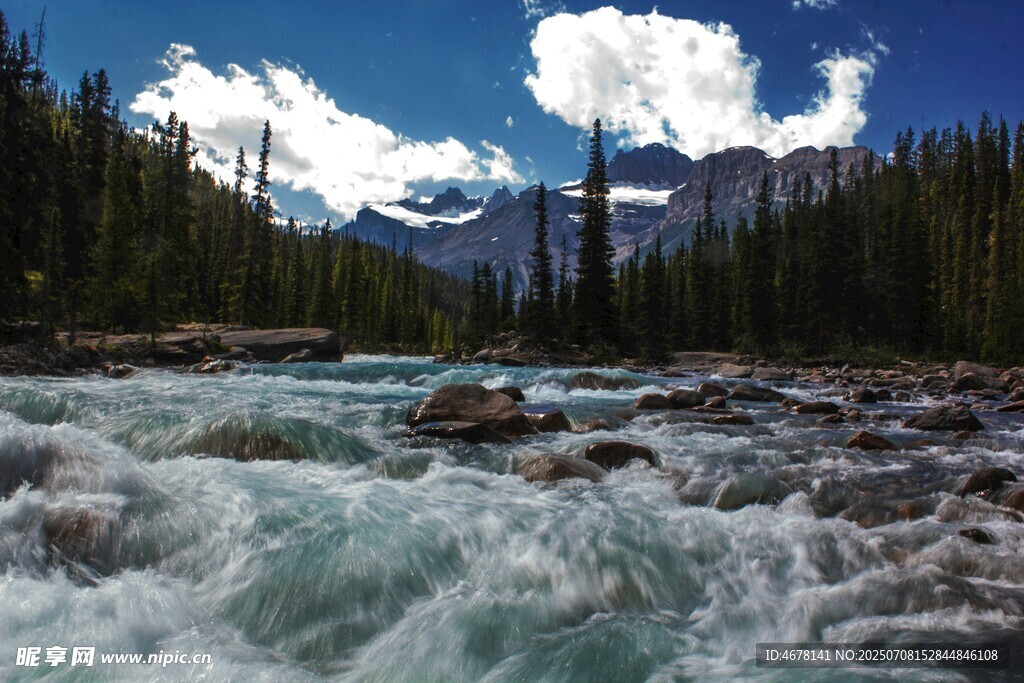 湍急溪流旁的山林美景