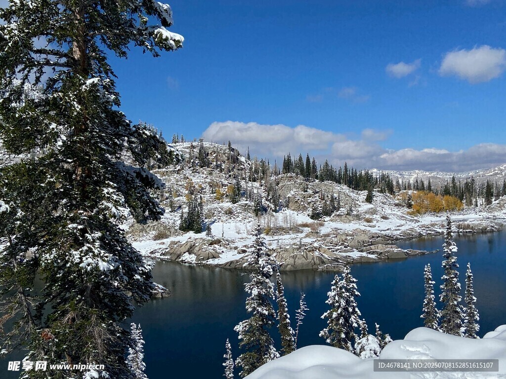冬日雪景中的静谧湖泊