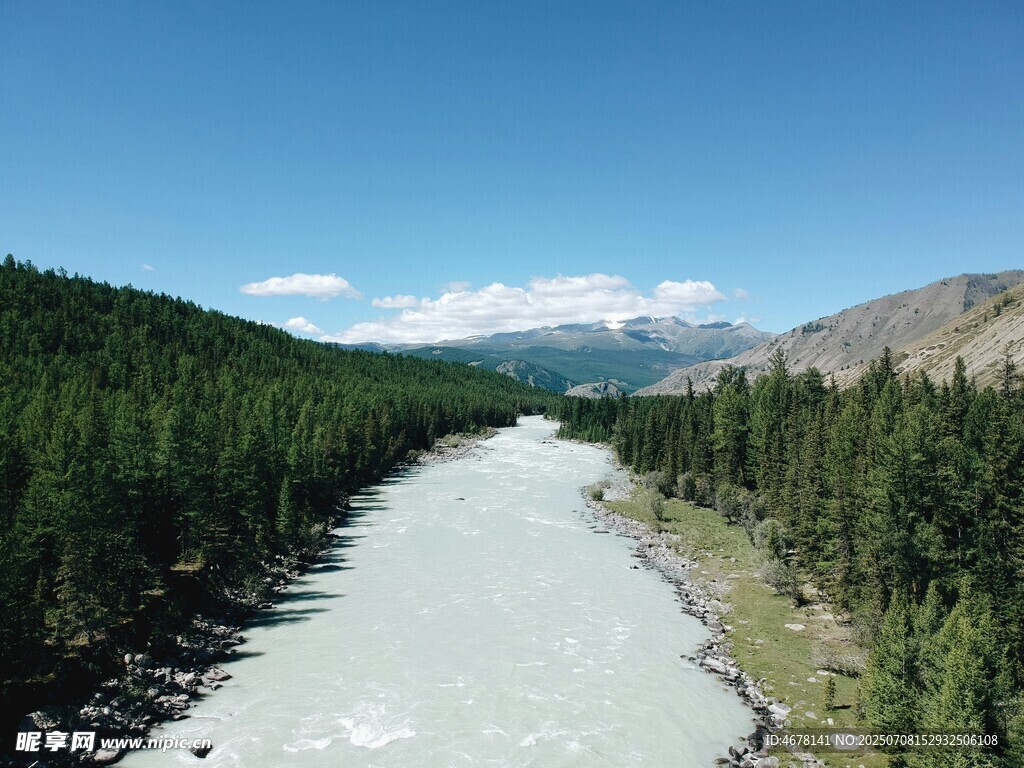 山间河流与葱郁森林景观