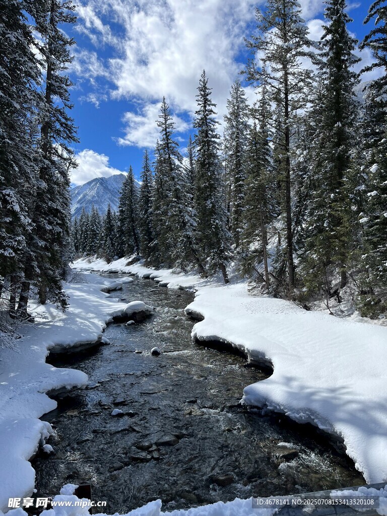冬日雪覆溪流森林美景