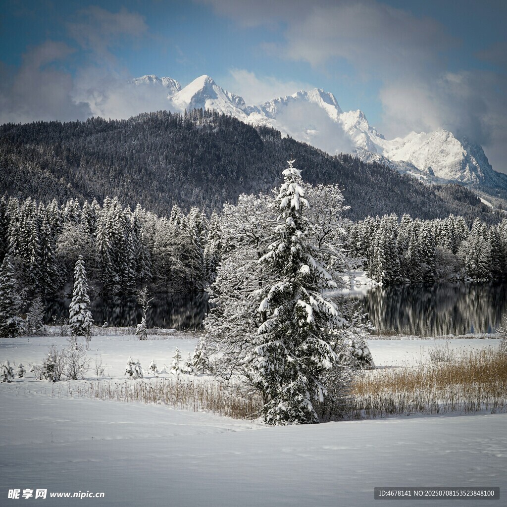 冬日雪景中的孤树与远山
