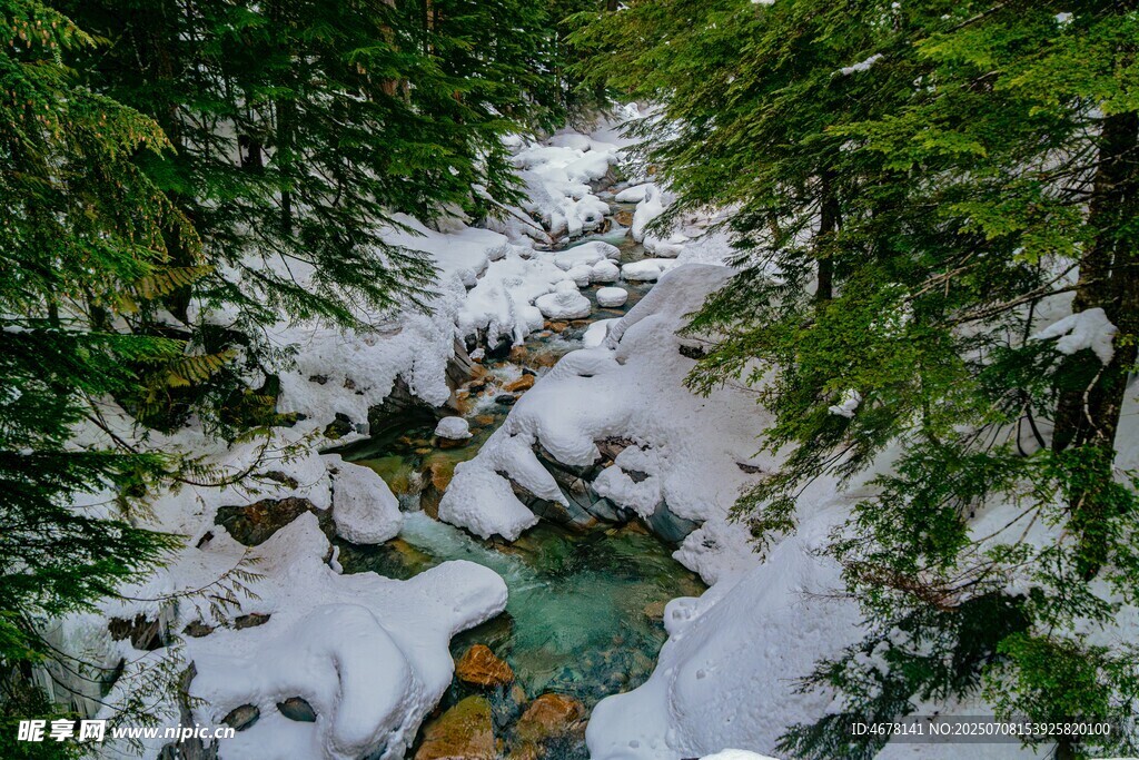 雪覆山林间的清澈溪流