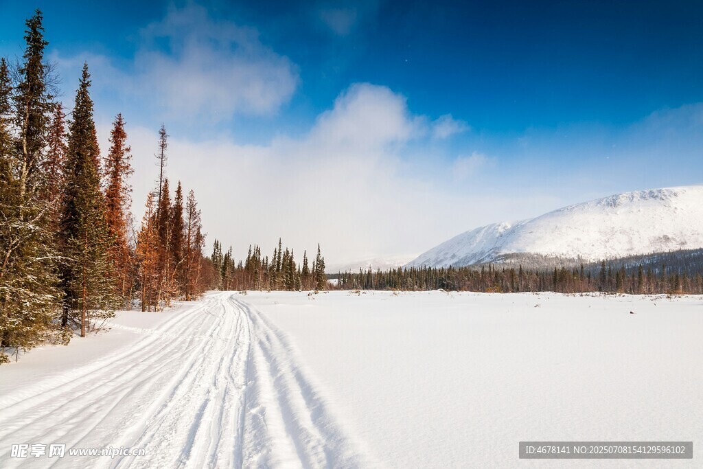 雪地林间滑雪道美景