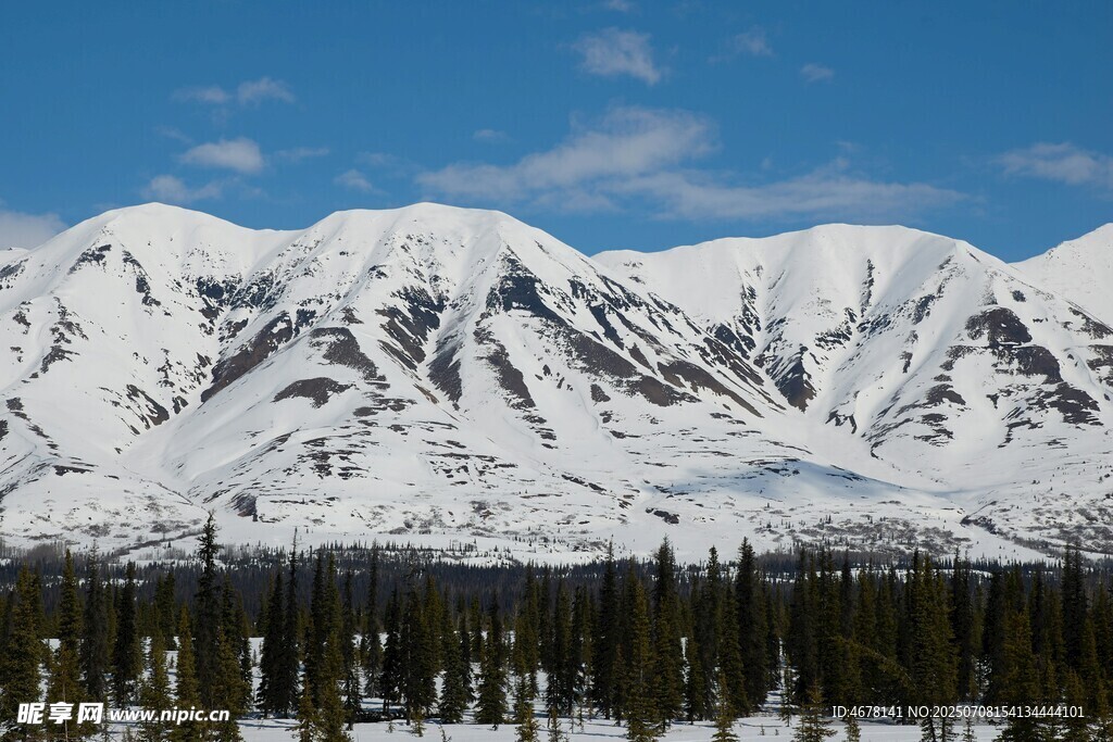雪山森林美景