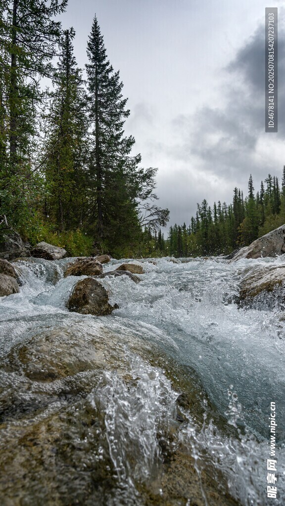 山间溪流自然清新之景