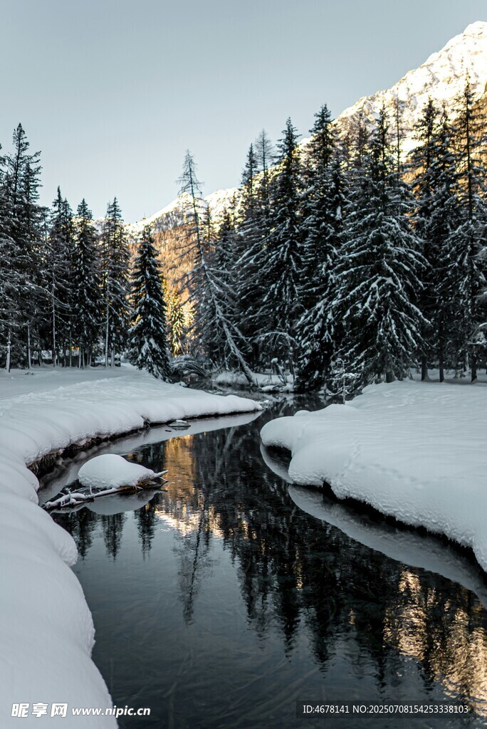 冬日雪覆溪流森林美景