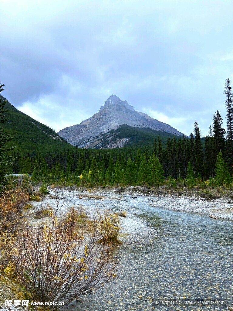 山间溪流旁的秀丽自然景