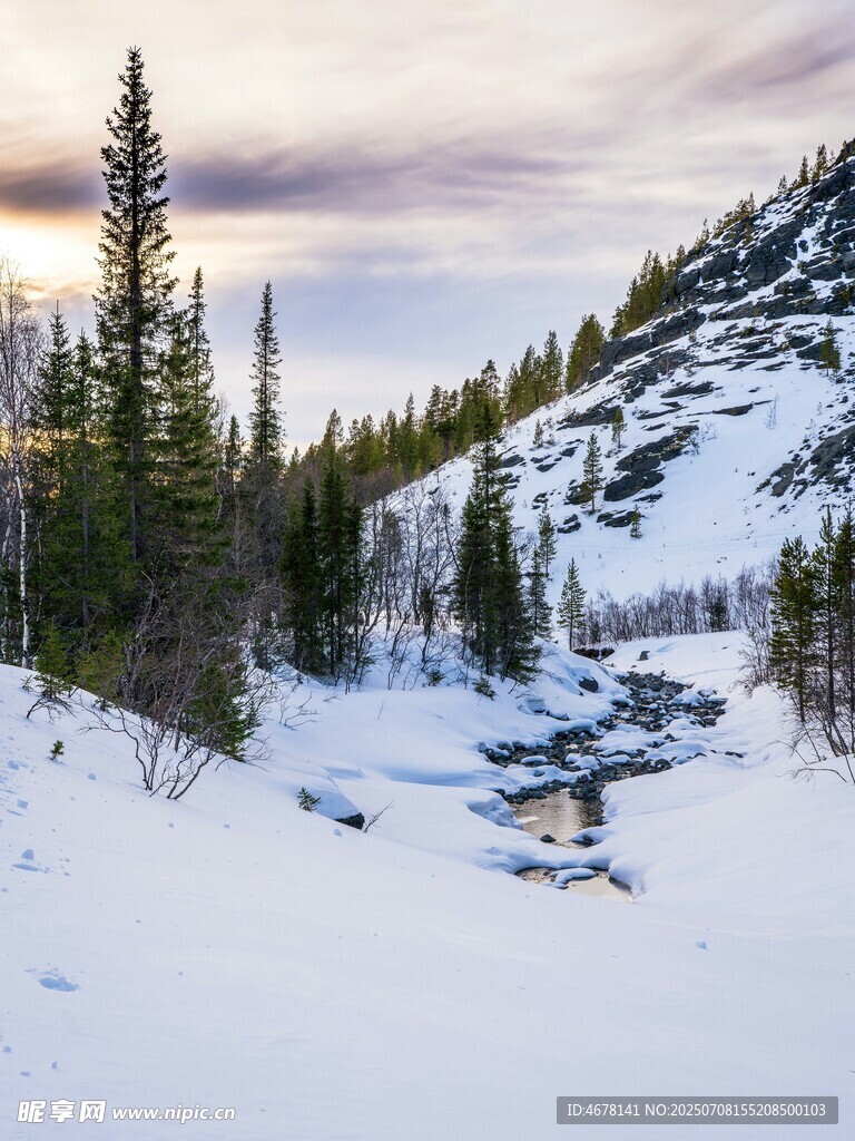冬日山林雪景溪流美景