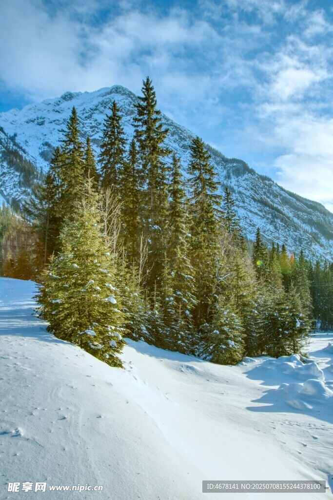 雪山松林雪景冬日美景