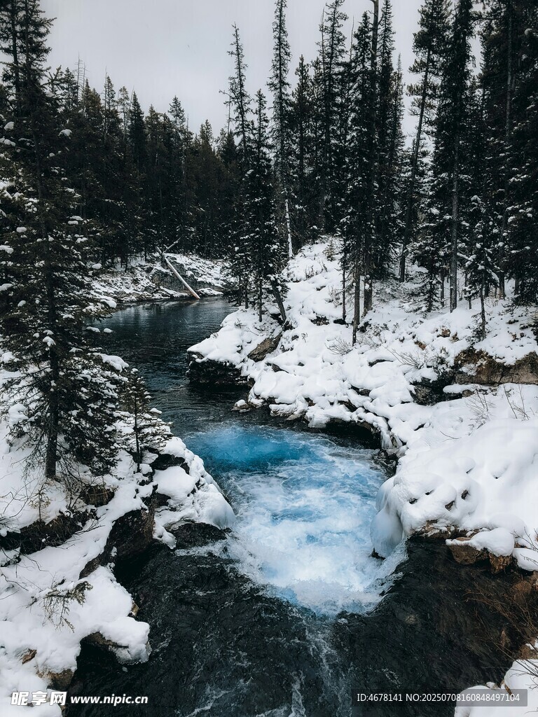 冬日雪覆溪流森林美景