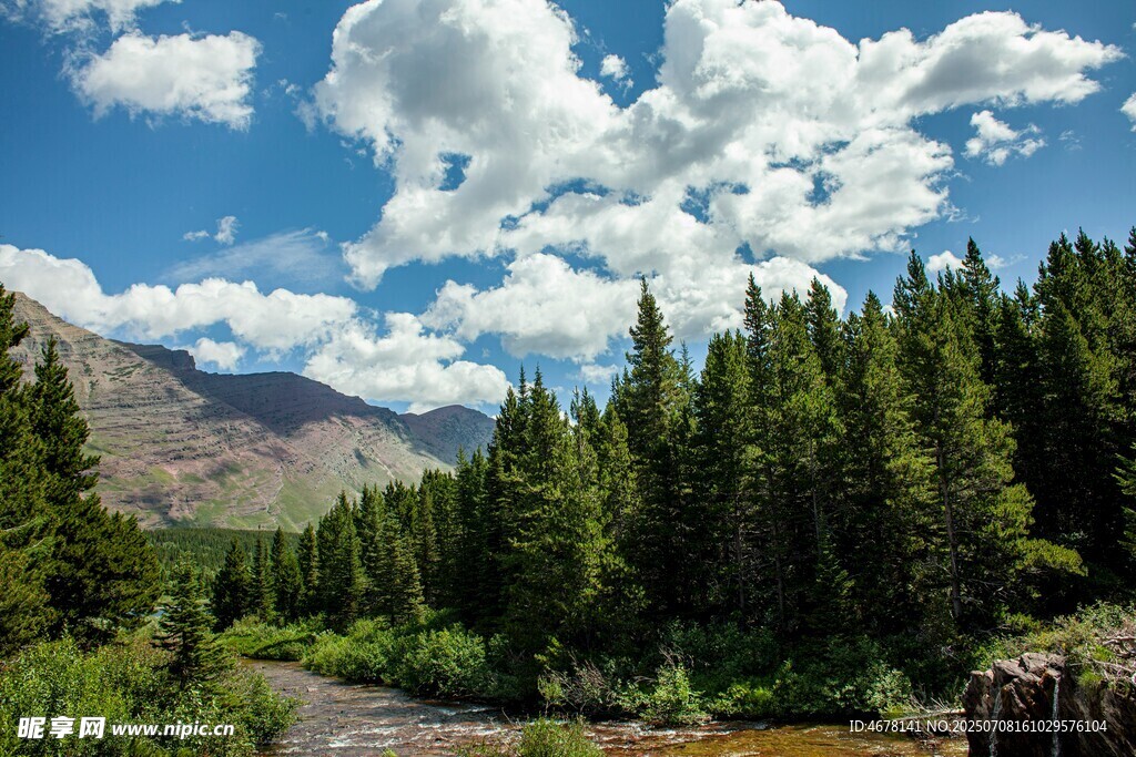 山间森林溪流蓝天白云景