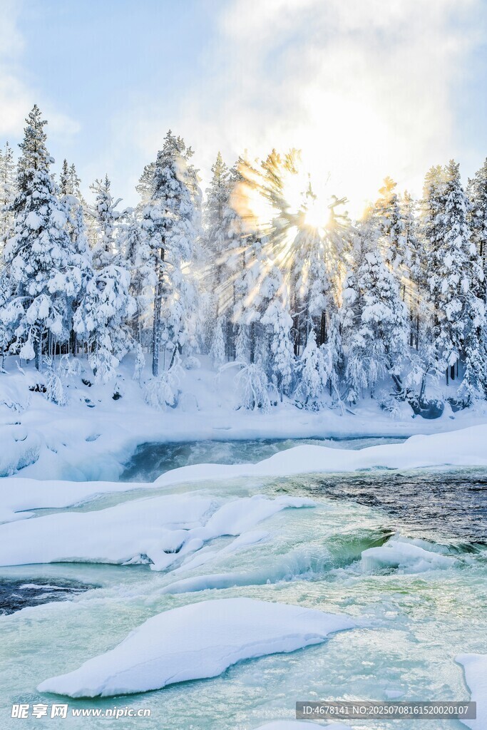 冬日雪林河畔美景