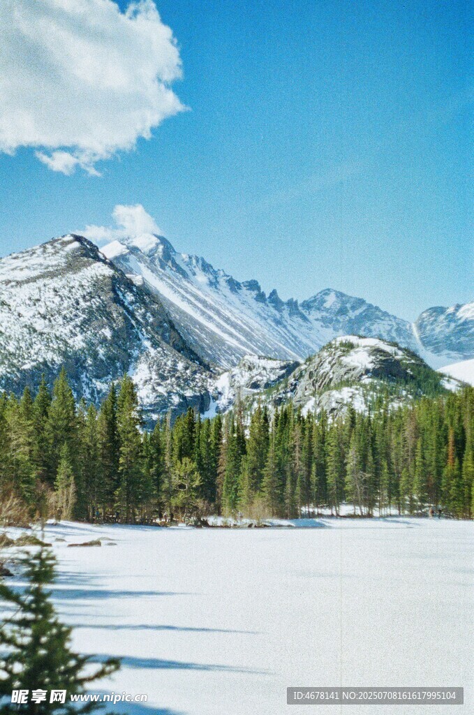 雪山松林美景