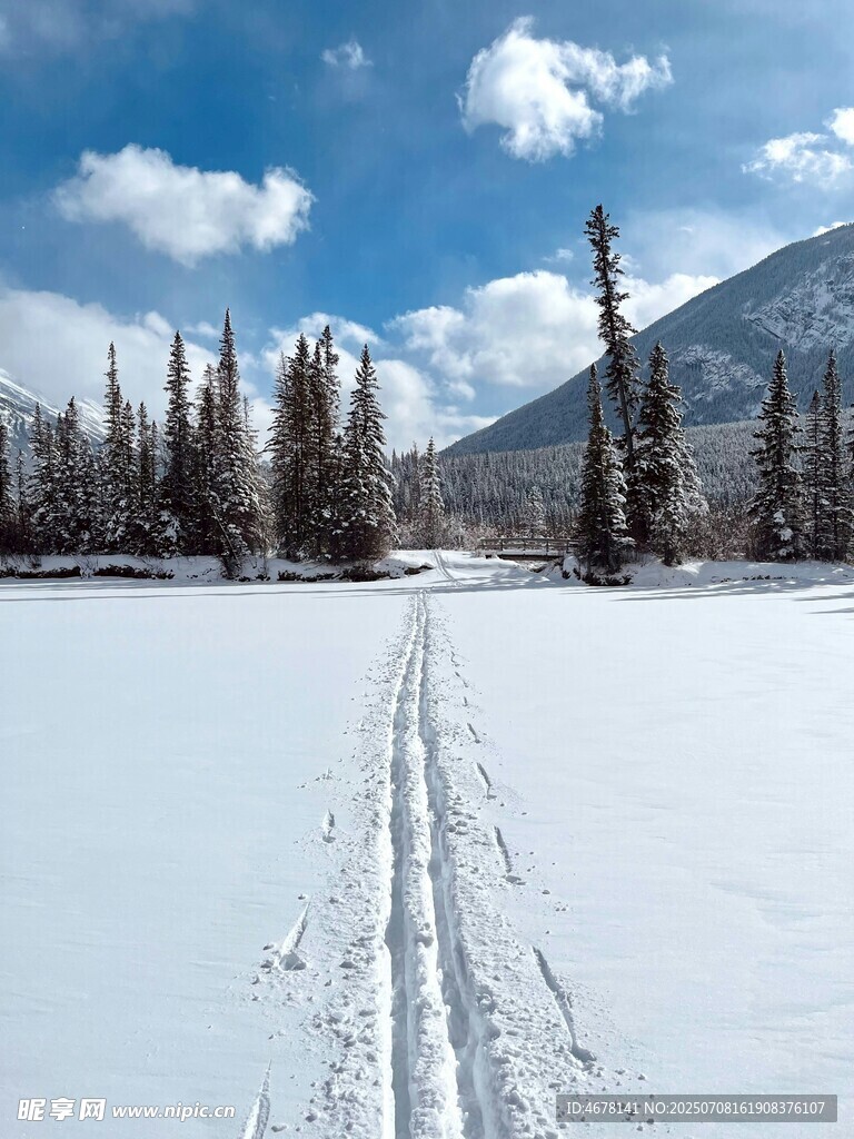 雪野中的滑雪轨迹