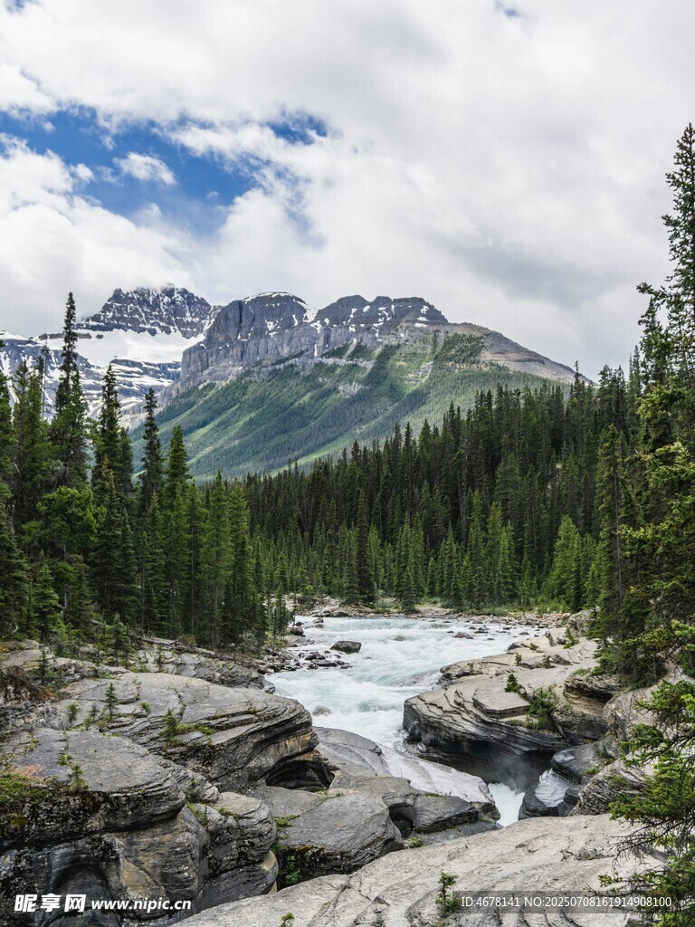 山间溪流旁的葱郁森林