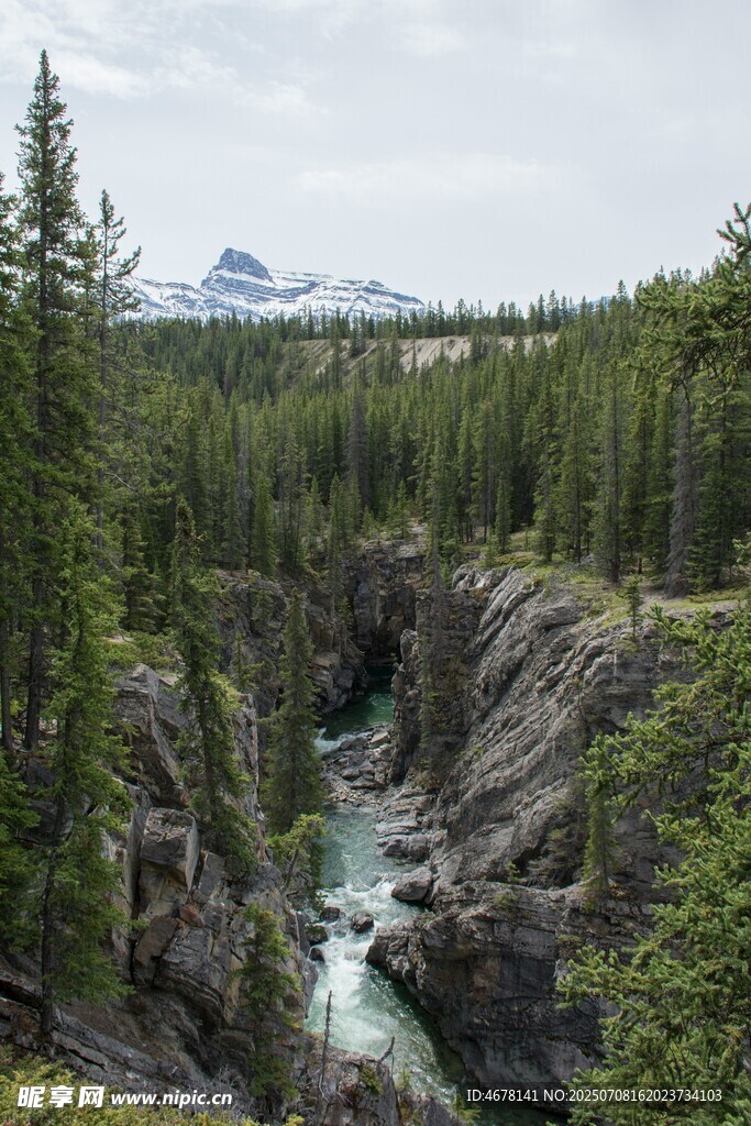 山间溪流穿林而过的美景