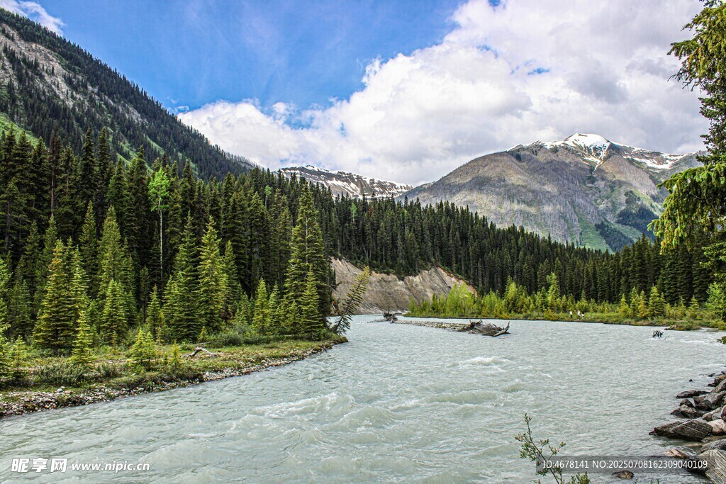 山间河流与葱郁森林美景