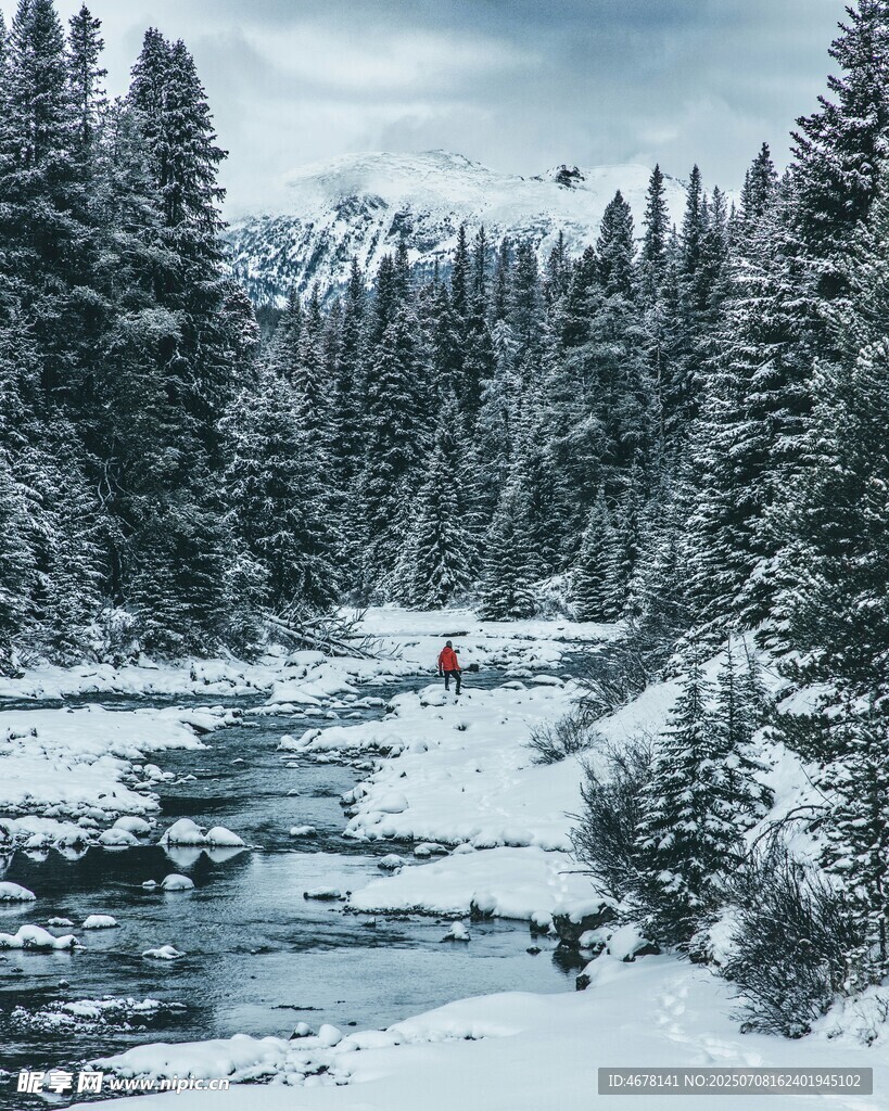 冬日雪覆溪流森林美景