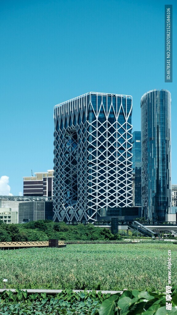 城市绿地旁的现代高楼