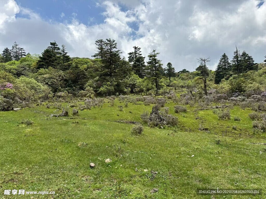 山间绿野 葱郁树木相伴