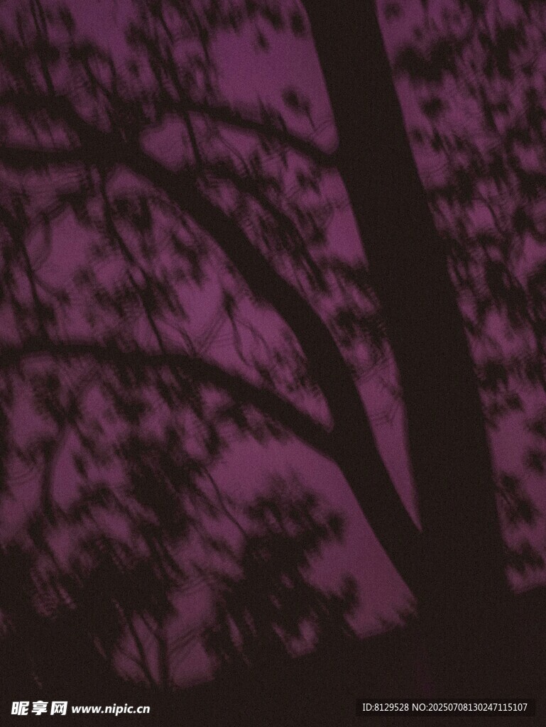 夜幕下的树影轮廓