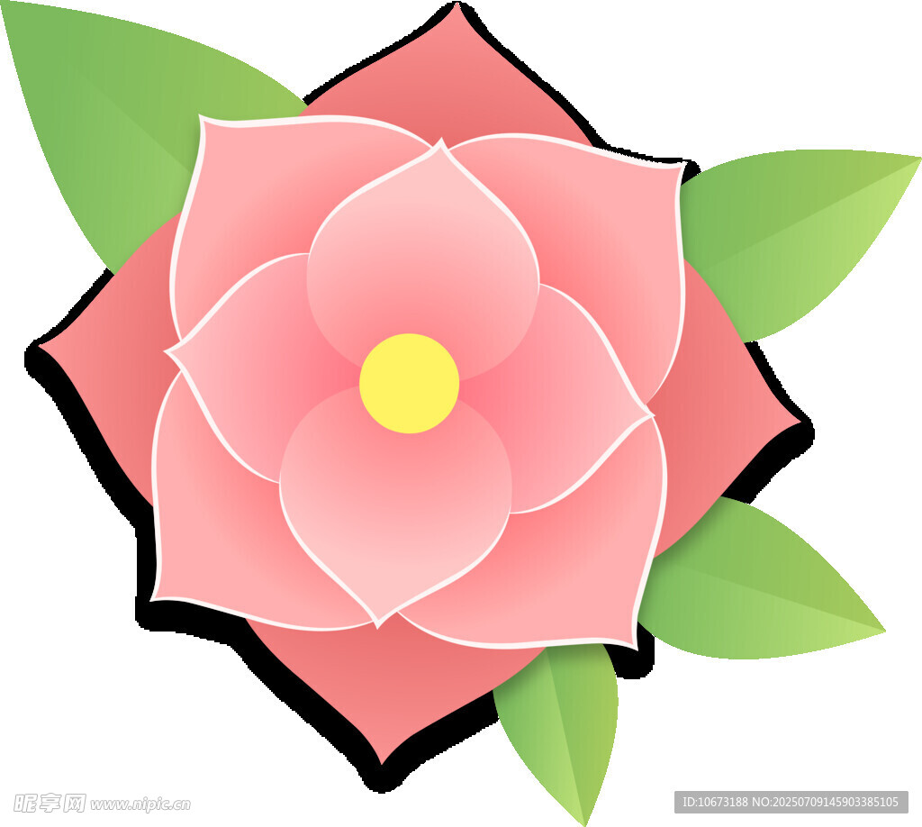 粉色花朵插画
