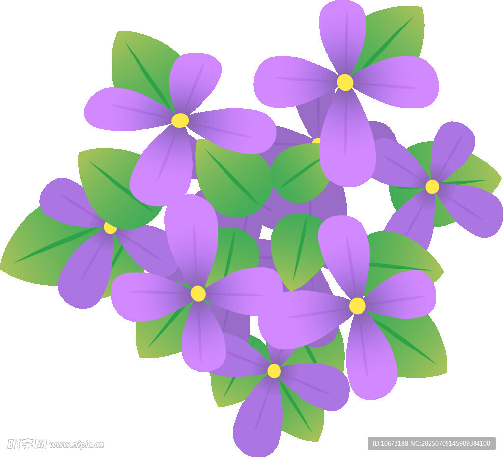 紫色小花插画
